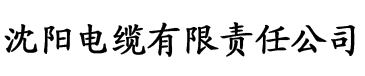 日韩理论片免费电缆厂logo